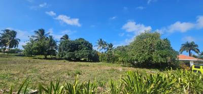 Terreno en IBERSTATE BAVARO, Autovía del Este