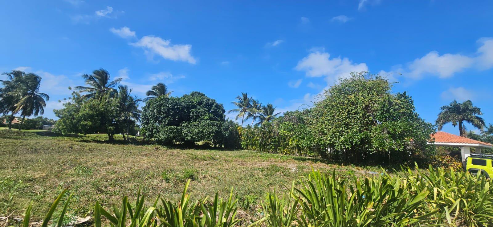 Terreno en IBERSTATE BAVARO, Autovía del Este